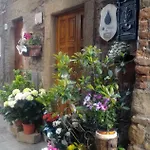 Nero Gioconda 3* Anghiari